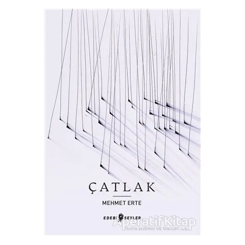 Çatlak - Mehmet Erte - Edebi Şeyler