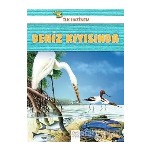Deniz Kıyısında - İlk Hazinem - Denise Ryan - 1001 Çiçek Kitaplar