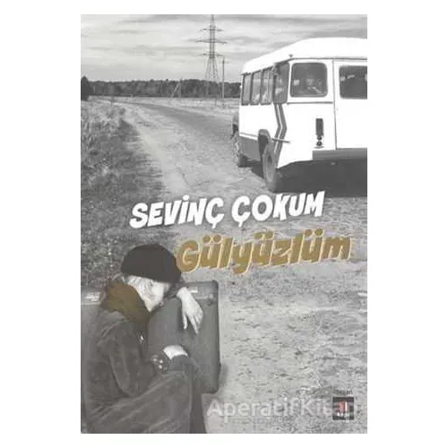 Gülyüzlüm - Sevinç Çokum - Kapı Yayınları