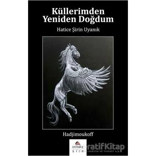 Küllerimden Yeniden Doğdum - Hatice Şirin Uyanık - Ekinoks Yayın Grubu