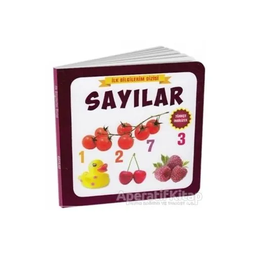 Sayılar - İlk Bilgilerim Dizisi - Kolektif - Çocuk Gezegeni