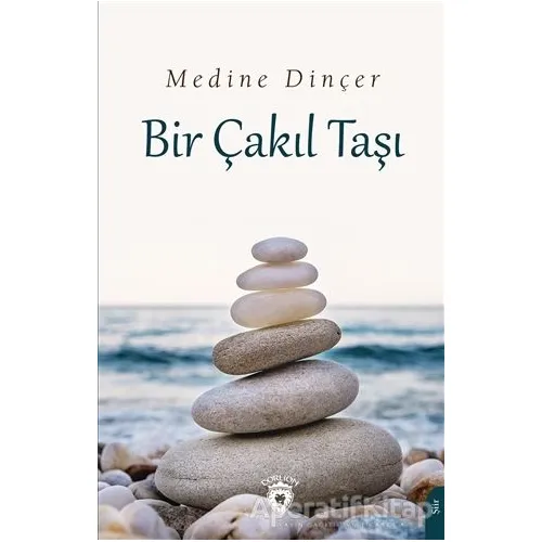 Bir Çakıl Taşı - Medine Dinçer - Dorlion Yayınları