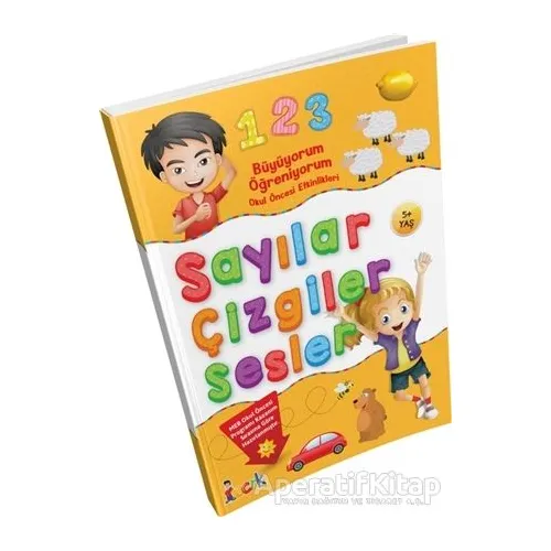 Büyüyorum Öğreniyorum Okul Öncesi Etkinlikleri Sayılar Çizgiler Sesler