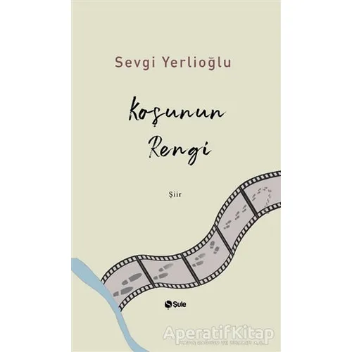 Koşunun Rengi - Sevgi Yerlioğlu - Şule Yayınları