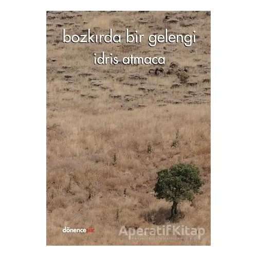 Bozkırda Bir Gelengi - İdris Atmaca - Dönence Basım ve Yayın Hizmetleri