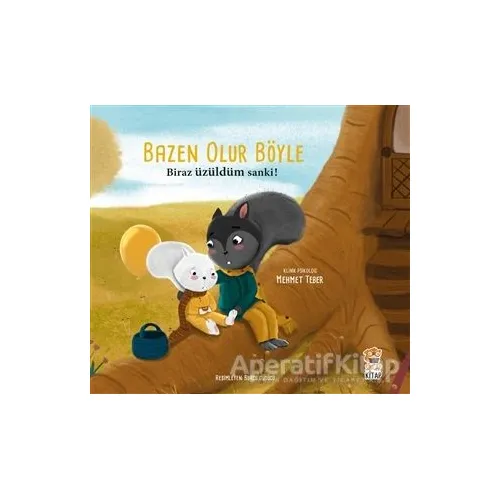 Biraz Üzüldüm Sanki! - Bazen Olur Böyle - Mehmet Teber - Sincap Kitap