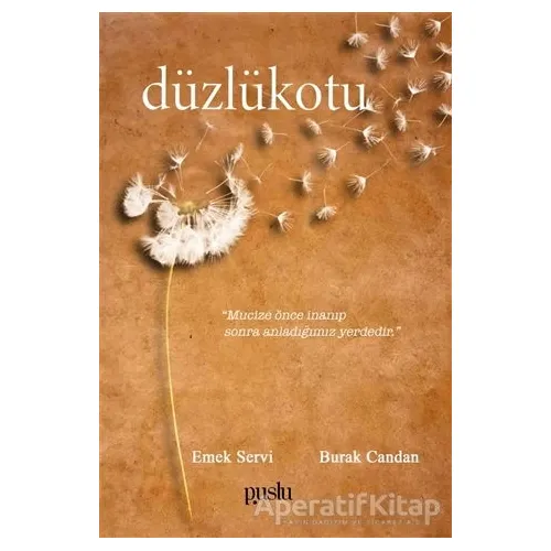 Düzlükotu - Burak Candan - Puslu Yayıncılık