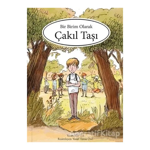 Bir Birim Olarak Çakıl Taşı - Elif Toz - MEAV Yayıncılık