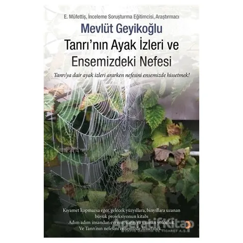 Tanrının Ayak İzleri ve Ensemizdeki Nefesi - Mevlüt Geyikoğlu - Cinius Yayınları