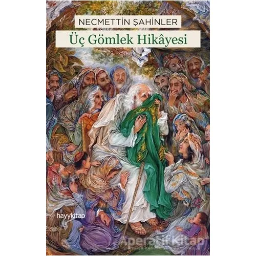 Üç Gömlek Hikayesi - Necmettin Şahinler - Hayykitap