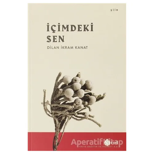 İçimdeki Sen - Dilan İkram Kanat - Red Yayınları