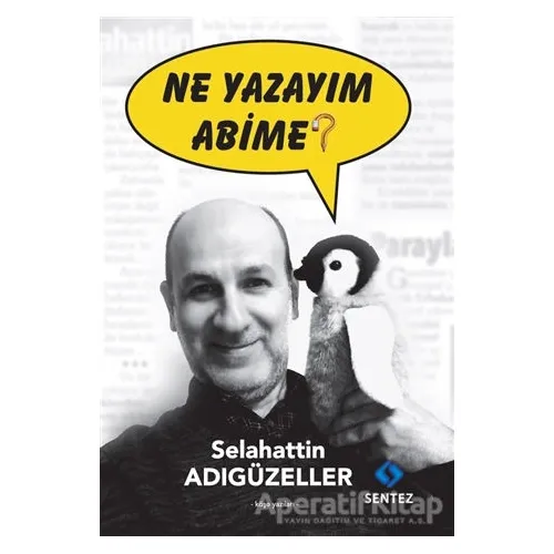 Ne Yazayım Abime? - Selahattin Adıgüzeller - Sentez Yayınları