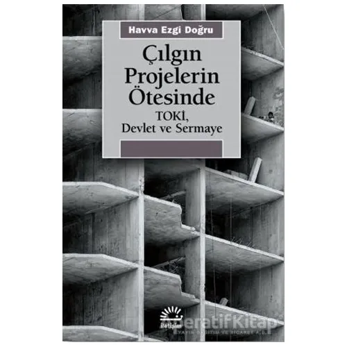 Çılgın Projelerin Ötesinde - Havva Ezgi Doğru - İletişim Yayınevi