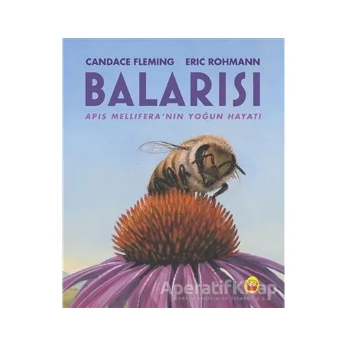 Balarısı - Candace Fleming - Kuraldışı Yayınevi
