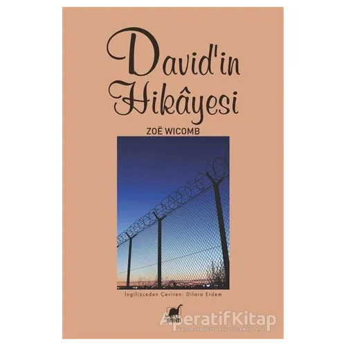 Davidin Hikayesi - Zoe Wicomb - Ayrıntı Yayınları
