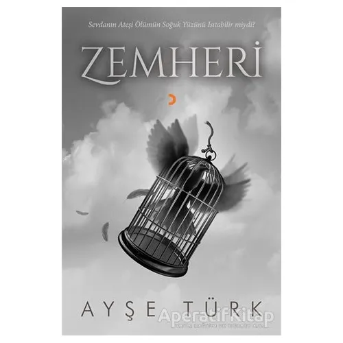Zemheri - Ayşe Türk - Cinius Yayınları