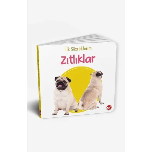 İlk Sözcüklerim - Zıtlıklar - Kolektif - Beyaz Balina Yayınları
