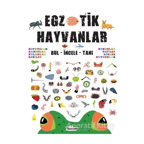 Egzotik Hayvanlar - Kolektif - Teleskop Popüler Bilim