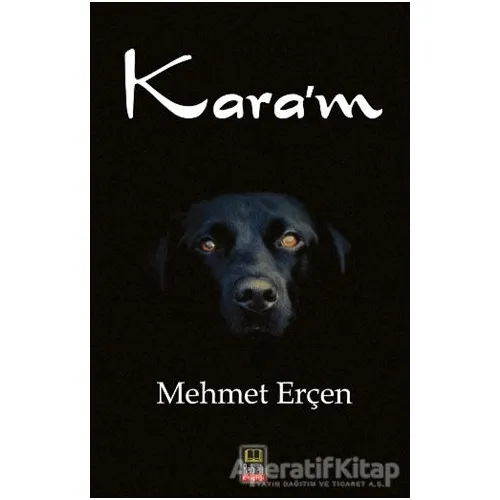 Karam - Mehmet Erçen - Babıali Kitaplığı