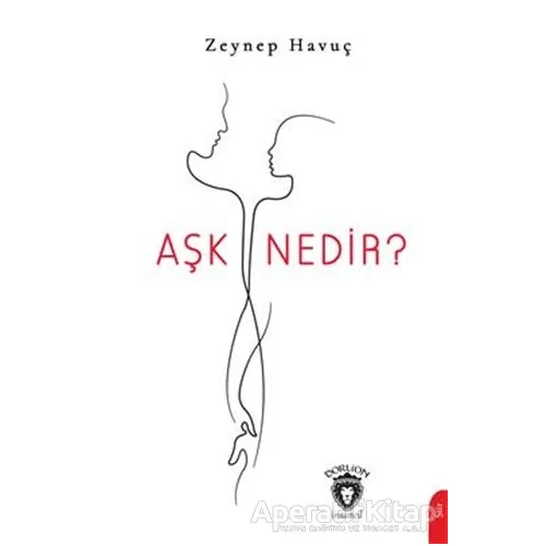 Aşk Nedir? - Zeynep Havuç - Dorlion Yayınları