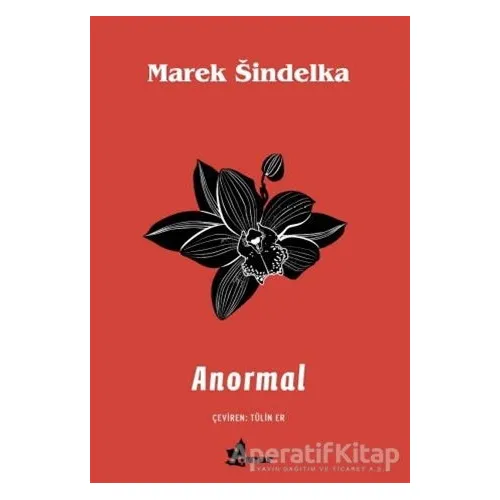 Anormal - Marek Sindelka - Çınar Yayınları