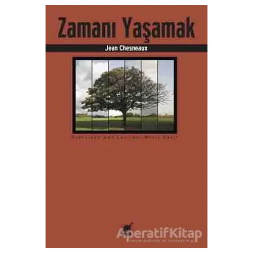 Zamanı Yaşamak - Jean Chesneaux - Ayrıntı Yayınları