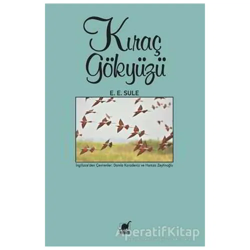Kıraç Gökyüzü - E. E. Sule - Ayrıntı Yayınları