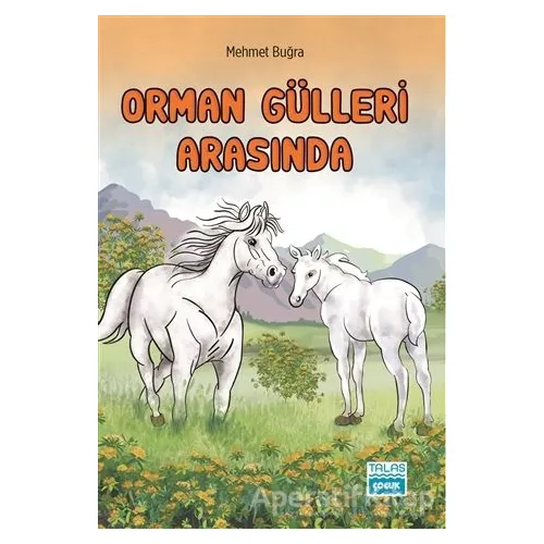 Orman Gülleri Arasında - Mehmet Buğra - Talas Yayınları