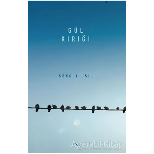 Gül Kırığı - Songül Uslu - Bengisu Yayınları