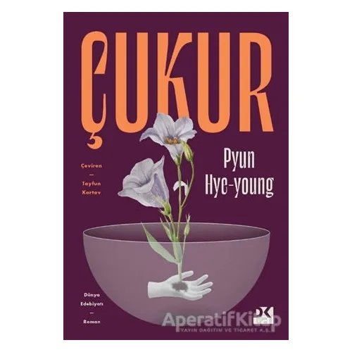 Çukur - Pyun Hye-young - Doğan Kitap