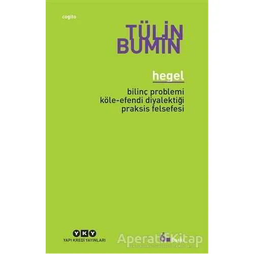 Hegel - Tülin Bumin - Yapı Kredi Yayınları