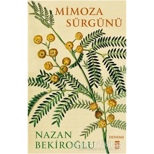 Mimoza Sürgünü - Nazan Bekiroğlu - Timaş Yayınları