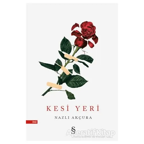 Kesi Yeri - Nazlı Akçura - Everest Yayınları