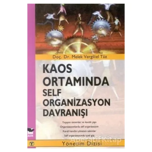 Kaos Ortamında Self Organizasyon Davranışı - Melek Vergiliel Tüz - Alfa Yayınları