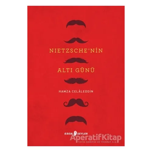 Nietzsche’nin Altı Günü - Hamza Celaleddin - Edebi Şeyler