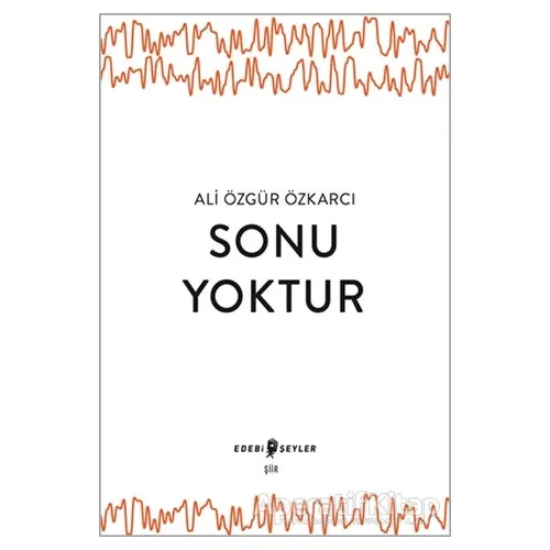 Sonu Yoktur - Ali Özgür Özkarcı - Edebi Şeyler