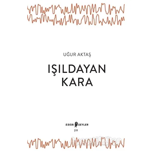 Işıldayan Kara - Uğur Aktaş - Edebi Şeyler