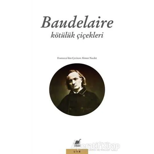 Kötülük Çiçekleri - Charles Baudelaire - Ayrıntı Yayınları