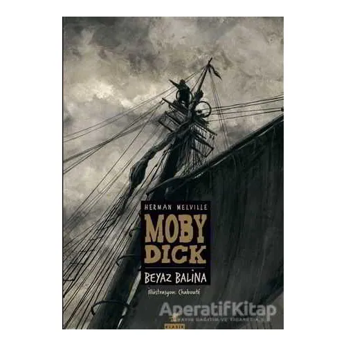 Moby Dick - Beyaz Balina - Herman Meville - Ayrıntı Yayınları