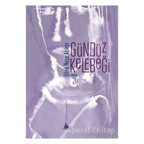 Gündüz Kelebeği - Dilek Neşe Açıker - Yitik Ülke Yayınları