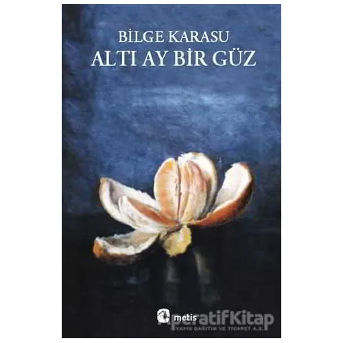 Altı Ay Bir Güz - Bilge Karasu - Metis Yayınları