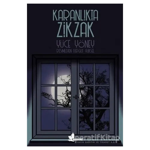Karanlıkta Zikzak - Yüce Yöney - Çınar Yayınları