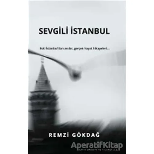 Sevgili İstanbul - Remzi Gökdağ - E Yayınları