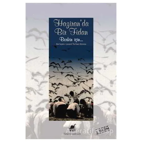 Haziranda Bir Fidan - Levent Turhan Gümüş - Ayrıntı Yayınları