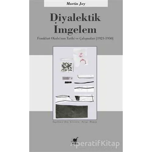 Diyalektik İmgelem - Martin Jay - Ayrıntı Yayınları