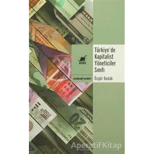 Türkiye’de Kapitalist Yöneticiler Sınıfı - Özgür Budak - Ayrıntı Yayınları