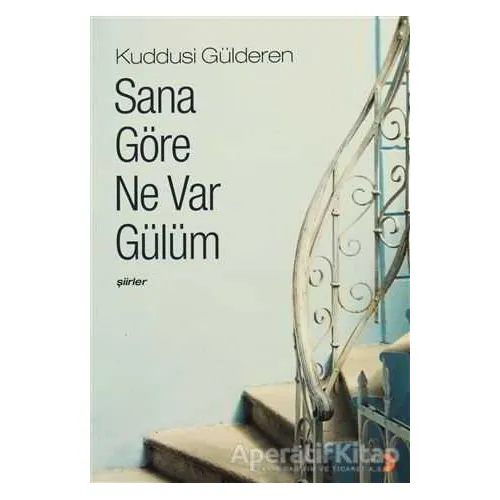 Sana Göre Ne Var Gülüm - Kuddusi Gülderen - Cinius Yayınları