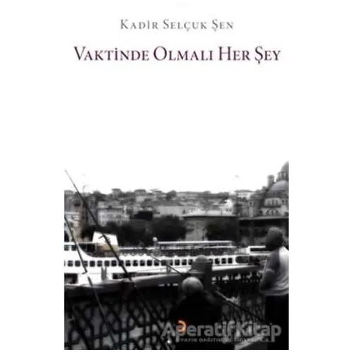 Vaktinde Olmalı Her Şey - Kadir Selçuk Şen - Cinius Yayınları