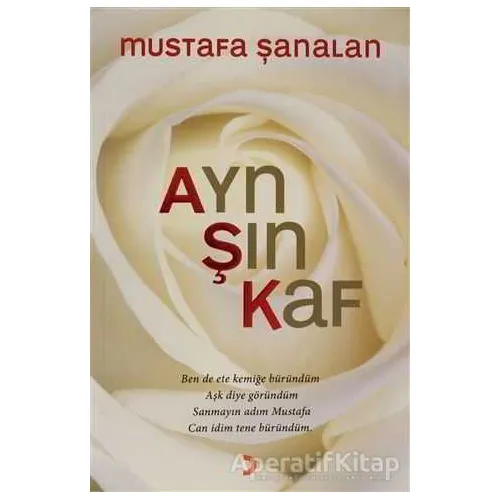 Ayn Şın Kaf - Mustafa Şanalan - Cinius Yayınları