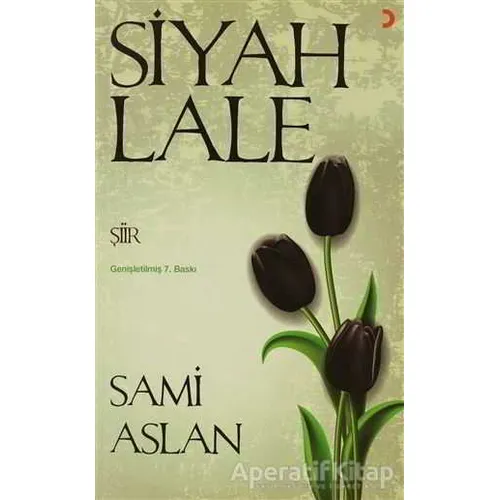 Siyah Lale - Sami Aslan - Cinius Yayınları
